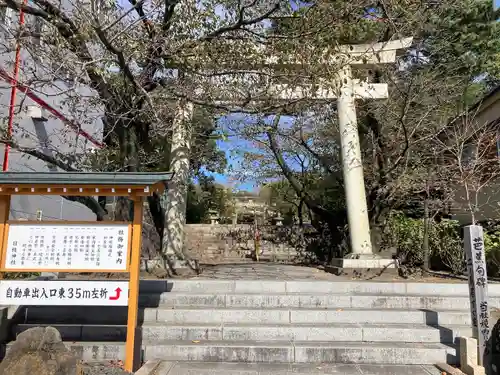 日枝神社の鳥居