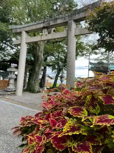 立志神社(滋賀県)