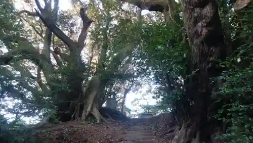 羽黒神社･三峯神社のその他建物