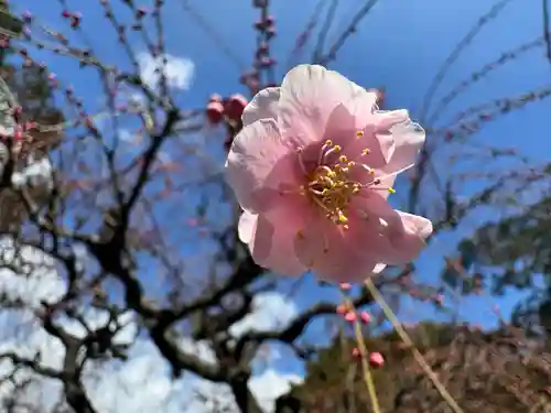 結城神社(三重県)