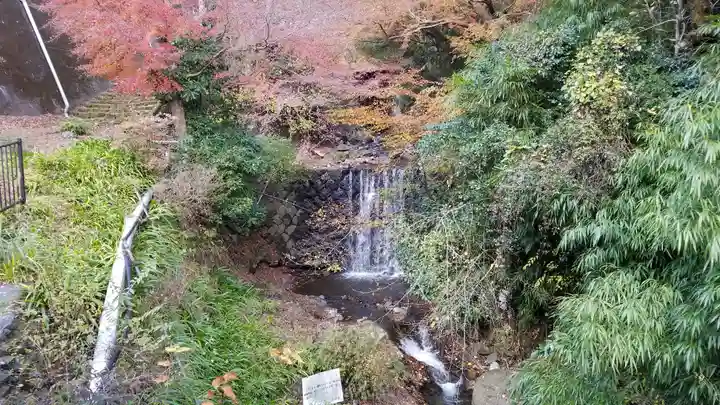 大山阿夫利神社の自然
