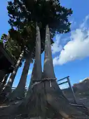 武甕槌神社(岩手県)