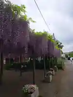 日吉神社(東京都)