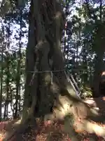 香取神社のその他建物