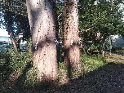 十二神社(大阪府)