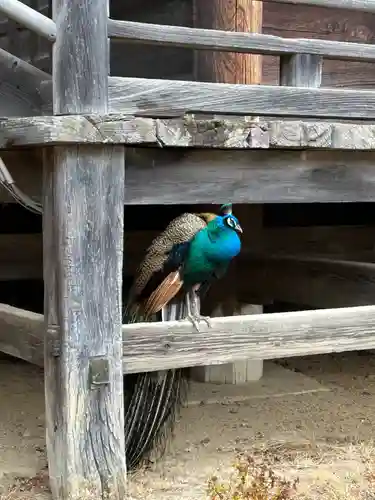 楽法寺（雨引観音）(茨城県)