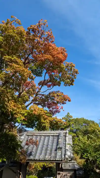 正法寺(京都府)