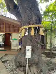 座間神社の自然