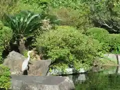 屋久島大社の動物