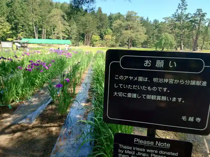 毛越寺(岩手県)