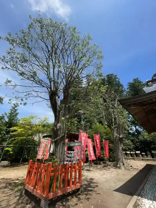 鏡石鹿嶋神社 *安産・開運・勝利の神さま*の{uncategorized: "未分類", other: "その他", undefined: "問題あり", building: "その他建物", grave: "お墓", sacred_gate: "鳥居", guardian: "狛犬", statue: "像", buddha: "仏像", history: "歴史", nature: "自然", garden: "庭園", animal: "動物", pagoda: "塔", temizu: "手水舎", mountain_gate: "山門・神門", sanctuary: "本殿・本堂", subordinate: "末社・摂社", art: "芸術", scenery: "景色", jizo: "地蔵", ema: "絵馬", goshuin: "御朱印", omikuji: "おみくじ", items: "授与品その他", amulet: "お守り", goshuincho: "御朱印帳", eats: "食事", festival: "お祭り", votive_dance: "神楽", shichigosan: "七五三参", wedding: "結婚式", experience: "体験その他", initially: "初詣", around: "周辺", anti_infection: "感染症対策"}