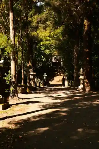国造神社(熊本県)