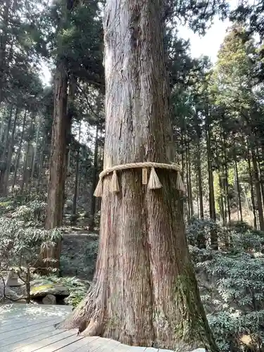 御岩神社の自然