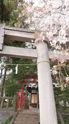 赤城神社の自然