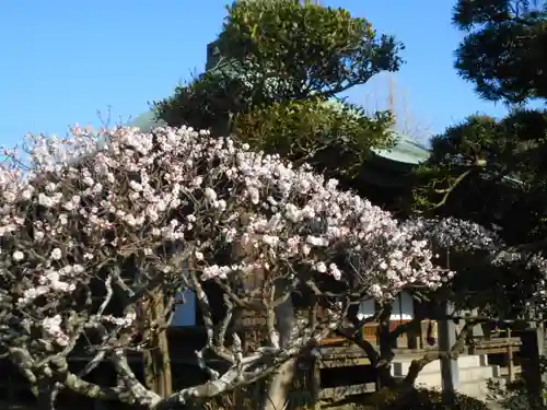 極楽寺（霊鷲山感應院極楽律寺）の景色