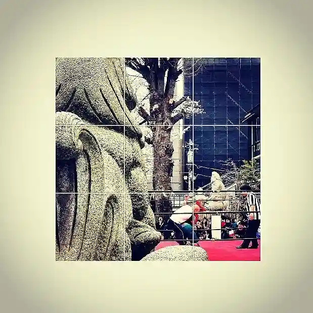 神田神社(神田明神)の体験その他