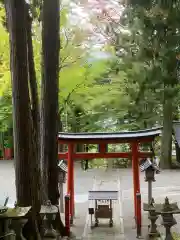 日枝神社(岐阜県)