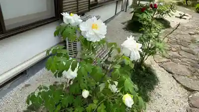 圓融寺(埼玉県)