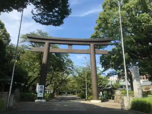 愛知縣護國神社の鳥居