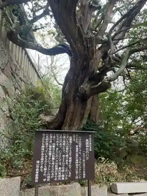高諸神社の{uncategorized: "未分類", other: "その他", undefined: "問題あり", building: "その他建物", grave: "お墓", sacred_gate: "鳥居", guardian: "狛犬", statue: "像", buddha: "仏像", history: "歴史", nature: "自然", garden: "庭園", animal: "動物", pagoda: "塔", temizu: "手水舎", mountain_gate: "山門・神門", sanctuary: "本殿・本堂", subordinate: "末社・摂社", art: "芸術", scenery: "景色", jizo: "地蔵", ema: "絵馬", goshuin: "御朱印", omikuji: "おみくじ", items: "授与品その他", amulet: "お守り", goshuincho: "御朱印帳", eats: "食事", festival: "お祭り", votive_dance: "神楽", shichigosan: "七五三参", wedding: "結婚式", experience: "体験その他", initially: "初詣", around: "周辺", anti_infection: "感染症対策"}