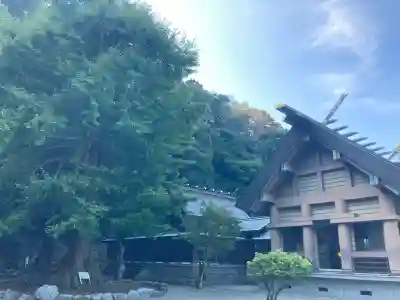 安房神社の{uncategorized: "未分類", other: "その他", undefined: "問題あり", building: "その他建物", grave: "お墓", sacred_gate: "鳥居", guardian: "狛犬", statue: "像", buddha: "仏像", history: "歴史", nature: "自然", garden: "庭園", animal: "動物", pagoda: "塔", temizu: "手水舎", mountain_gate: "山門・神門", sanctuary: "本殿・本堂", subordinate: "末社・摂社", art: "芸術", scenery: "景色", jizo: "地蔵", ema: "絵馬", goshuin: "御朱印", omikuji: "おみくじ", items: "授与品その他", amulet: "お守り", goshuincho: "御朱印帳", eats: "食事", festival: "お祭り", votive_dance: "神楽", shichigosan: "七五三参", wedding: "結婚式", experience: "体験その他", initially: "初詣", around: "周辺", anti_infection: "感染症対策"}