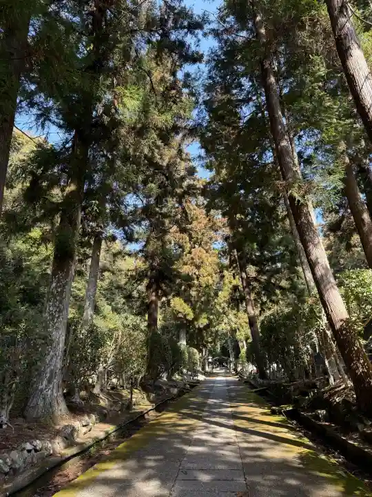 根来寺の{uncategorized: "未分類", other: "その他", undefined: "問題あり", building: "その他建物", grave: "お墓", sacred_gate: "鳥居", guardian: "狛犬", statue: "像", buddha: "仏像", history: "歴史", nature: "自然", garden: "庭園", animal: "動物", pagoda: "塔", temizu: "手水舎", mountain_gate: "山門・神門", sanctuary: "本殿・本堂", subordinate: "末社・摂社", art: "芸術", scenery: "景色", jizo: "地蔵", ema: "絵馬", goshuin: "御朱印", omikuji: "おみくじ", items: "授与品その他", amulet: "お守り", goshuincho: "御朱印帳", eats: "食事", festival: "お祭り", votive_dance: "神楽", shichigosan: "七五三参", wedding: "結婚式", experience: "体験その他", initially: "初詣", around: "周辺", anti_infection: "感染症対策"}