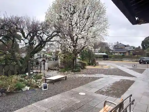 福永寺の庭園