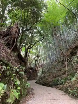八幡神社の周辺