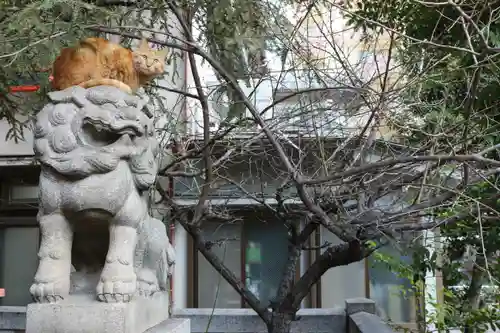 くまくま神社(導きの社 熊野町熊野神社)の狛犬