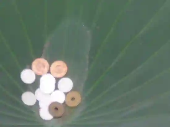 鶴岡八幡宮のその他建物