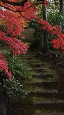 榮攝院（栄摂院）(京都府)