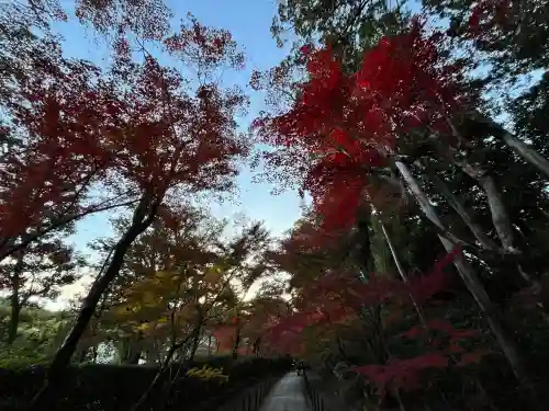 光明寺（粟生光明寺）(京都府)