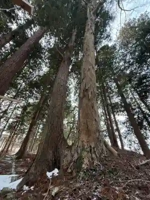 岩上神社の{uncategorized: "未分類", other: "その他", undefined: "問題あり", building: "その他建物", grave: "お墓", sacred_gate: "鳥居", guardian: "狛犬", statue: "像", buddha: "仏像", history: "歴史", nature: "自然", garden: "庭園", animal: "動物", pagoda: "塔", temizu: "手水舎", mountain_gate: "山門・神門", sanctuary: "本殿・本堂", subordinate: "末社・摂社", art: "芸術", scenery: "景色", jizo: "地蔵", ema: "絵馬", goshuin: "御朱印", omikuji: "おみくじ", items: "授与品その他", amulet: "お守り", goshuincho: "御朱印帳", eats: "食事", festival: "お祭り", votive_dance: "神楽", shichigosan: "七五三参", wedding: "結婚式", experience: "体験その他", initially: "初詣", around: "周辺", anti_infection: "感染症対策"}