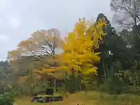 邇々杵神社(滋賀県)