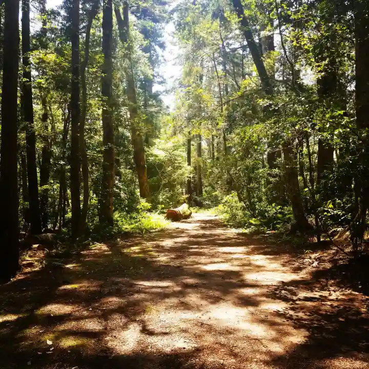 鹿島神宮の自然