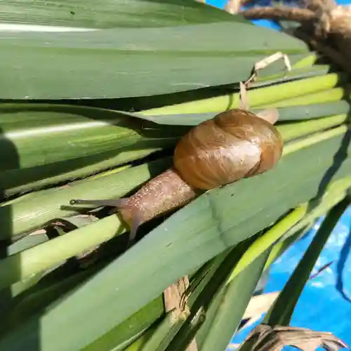 七重浜海津見神社(北海道)