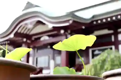 大雄院のその他建物