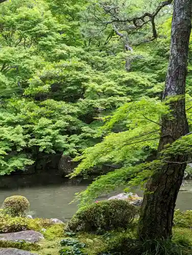 蓮華寺（洛北蓮華寺）(京都府)