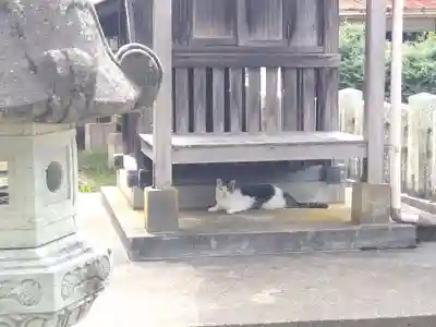 日吉神社(福井県)