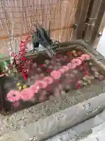 札幌諏訪神社の手水舎