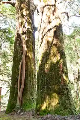 河内神社(高知県)