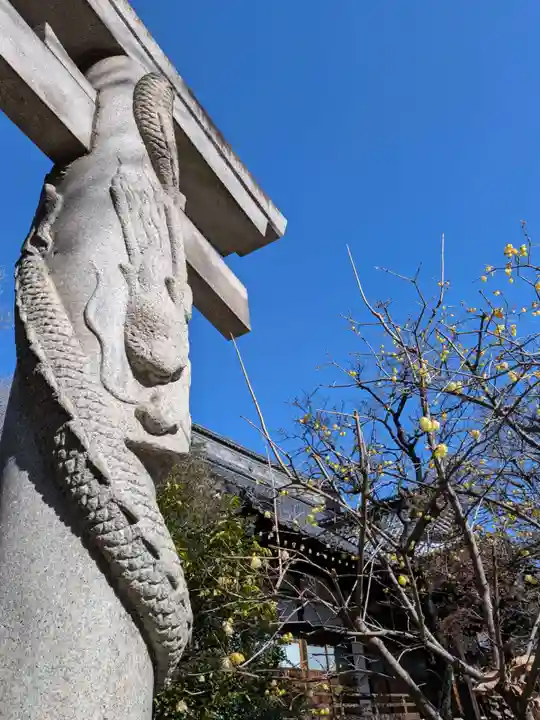 高円寺(東京都)