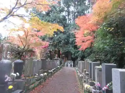 本土寺(千葉県)
