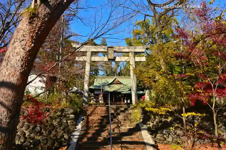 美和神社(群馬県)