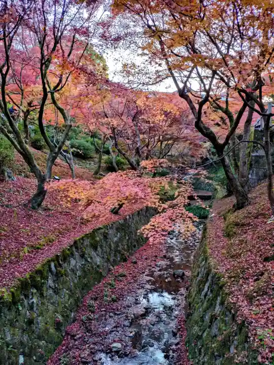東福禅寺(東福寺)(京都府)