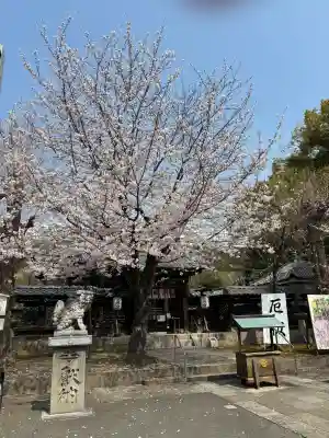 名古屋東照宮の{uncategorized: "未分類", other: "その他", undefined: "問題あり", building: "その他建物", grave: "お墓", sacred_gate: "鳥居", guardian: "狛犬", statue: "像", buddha: "仏像", history: "歴史", nature: "自然", garden: "庭園", animal: "動物", pagoda: "塔", temizu: "手水舎", mountain_gate: "山門・神門", sanctuary: "本殿・本堂", subordinate: "末社・摂社", art: "芸術", scenery: "景色", jizo: "地蔵", ema: "絵馬", goshuin: "御朱印", omikuji: "おみくじ", items: "授与品その他", amulet: "お守り", goshuincho: "御朱印帳", eats: "食事", festival: "お祭り", votive_dance: "神楽", shichigosan: "七五三参", wedding: "結婚式", experience: "体験その他", initially: "初詣", around: "周辺", anti_infection: "感染症対策"}
