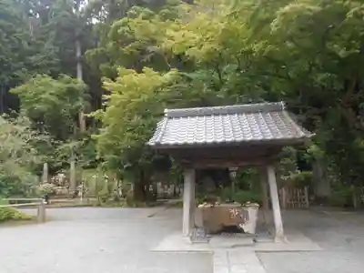 妙本寺の手水舎