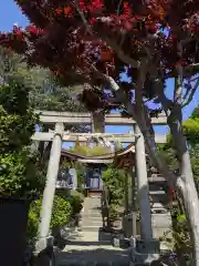 横浜御嶽神社の鳥居