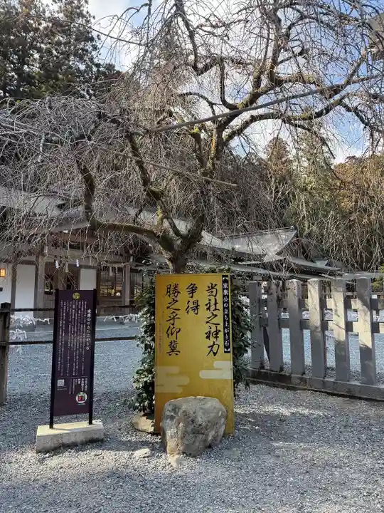 小國神社(静岡県)