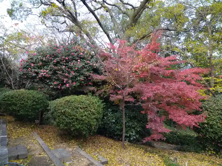 阿智神社の自然